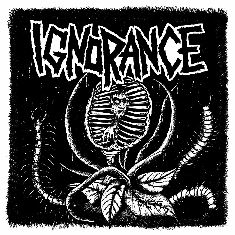 Ignorance - Ignorance