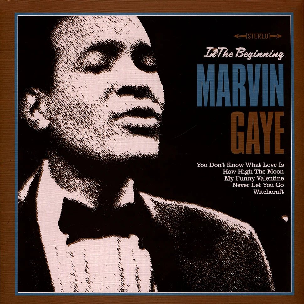 Marvin Gaye - In The Beginning