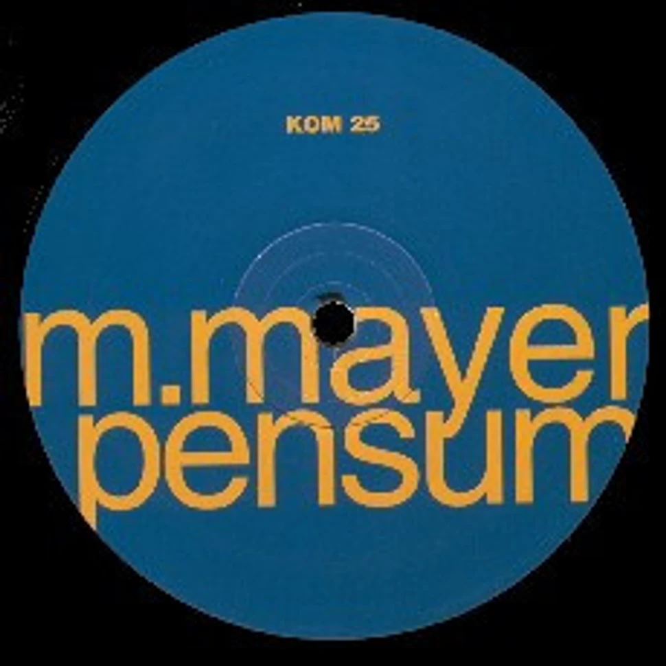 Michael Mayer - Pensum