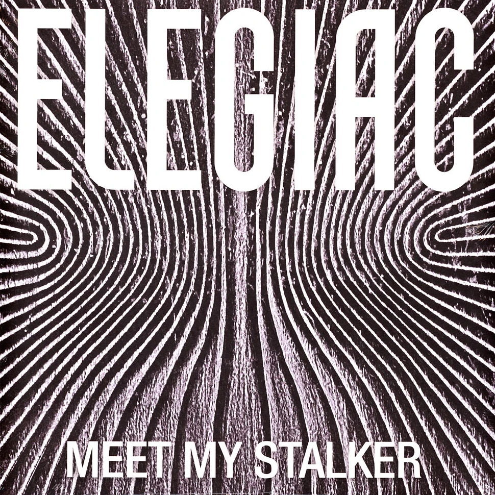 Elegiac - Meet My Stalker
