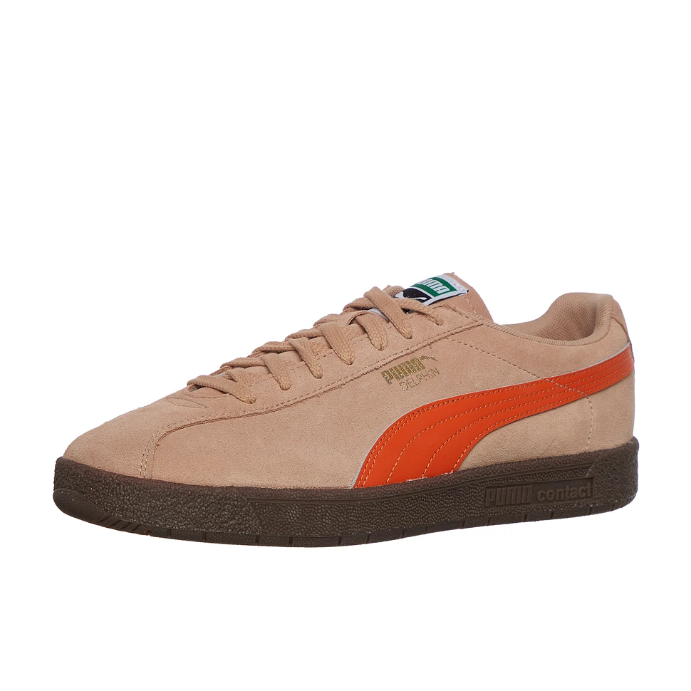 Puma - Delphin