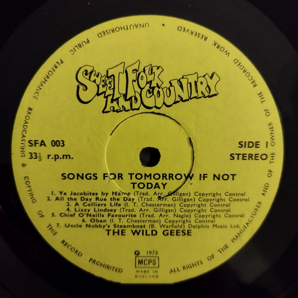 The Wild Geese Folk Group - Songs For Tomorrow If Not Today