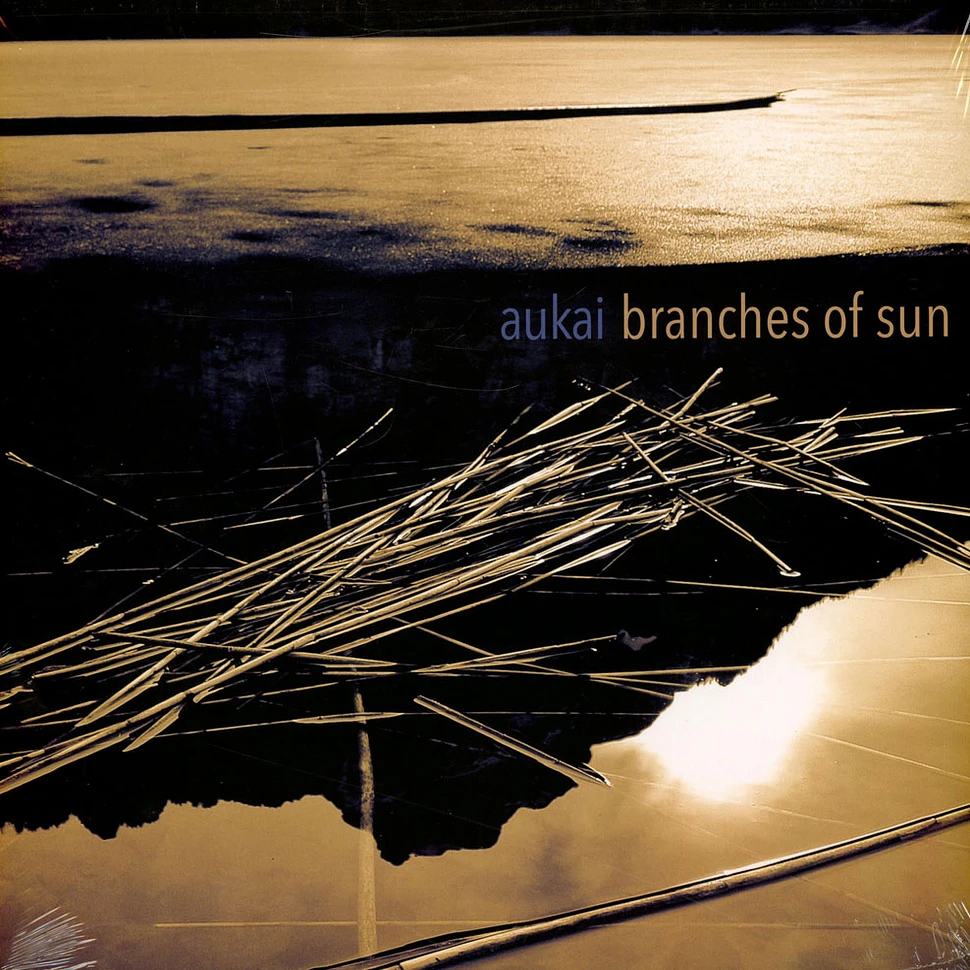 Aukai - Branches Of Sun