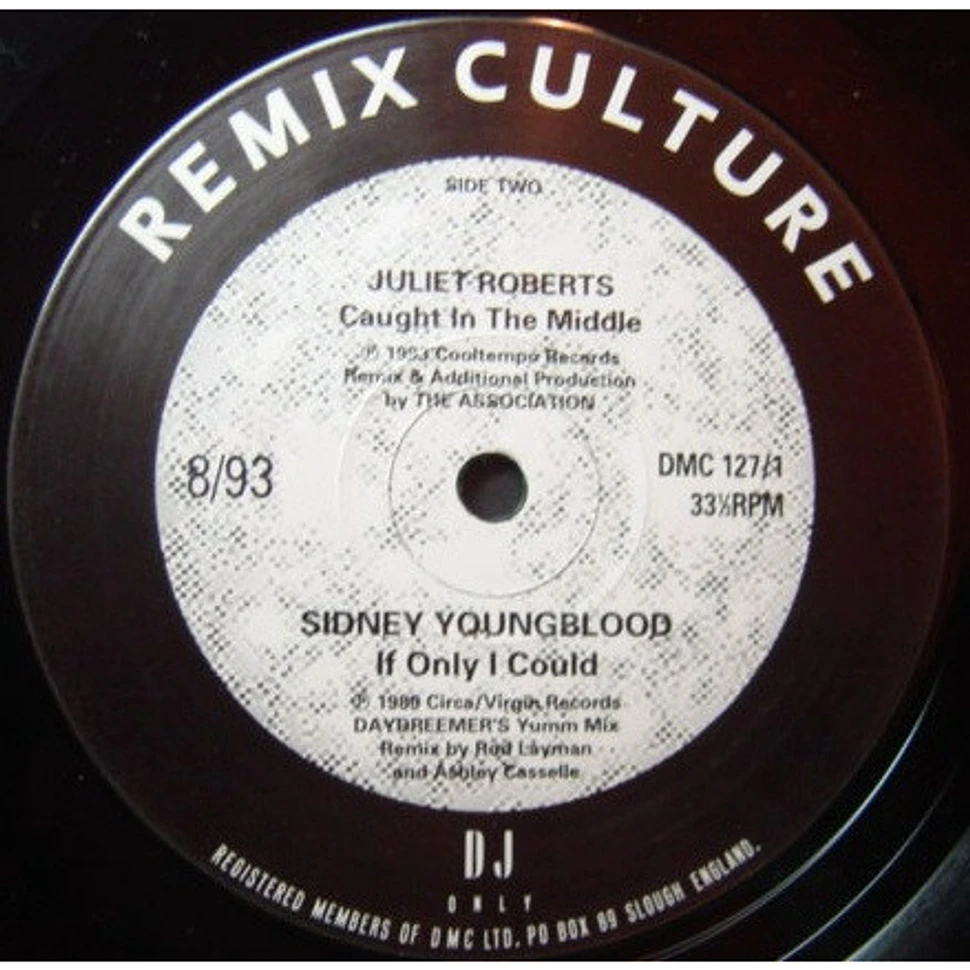 V.A. - Remix Culture 8/93