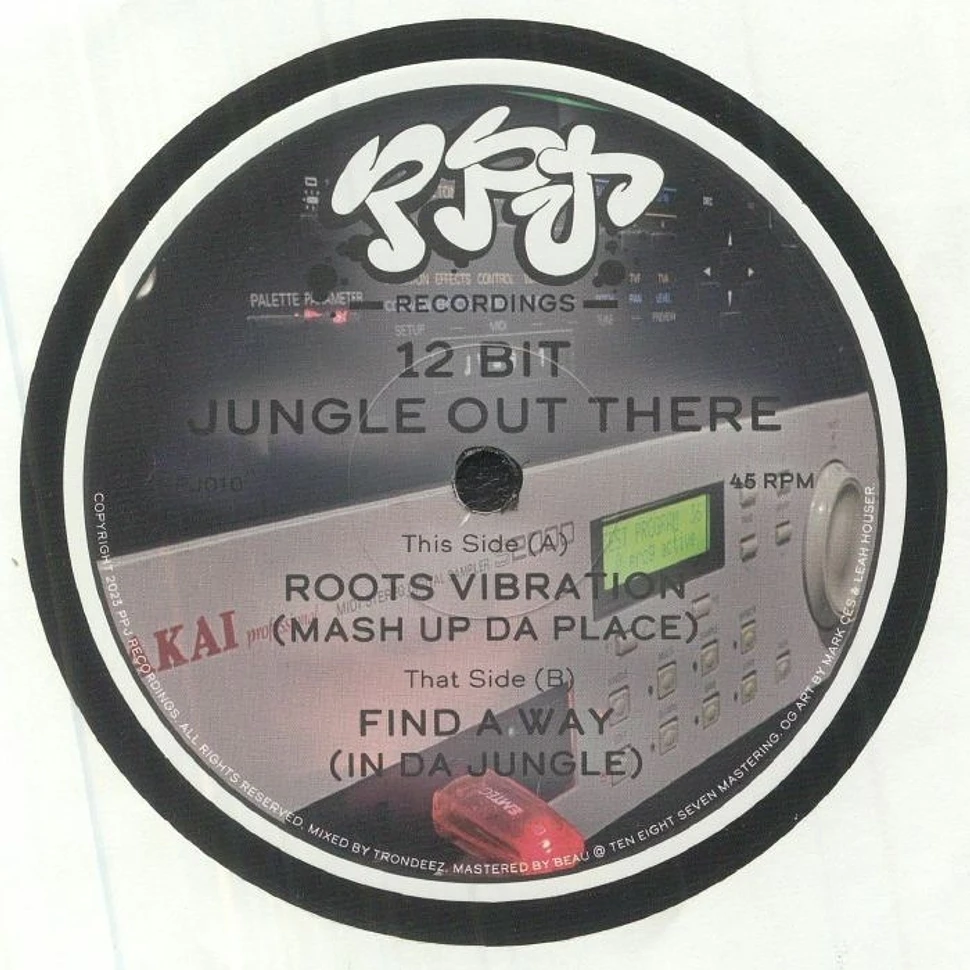 12 Bit Jungle Out There - Roots Vibration/Find A Way EP