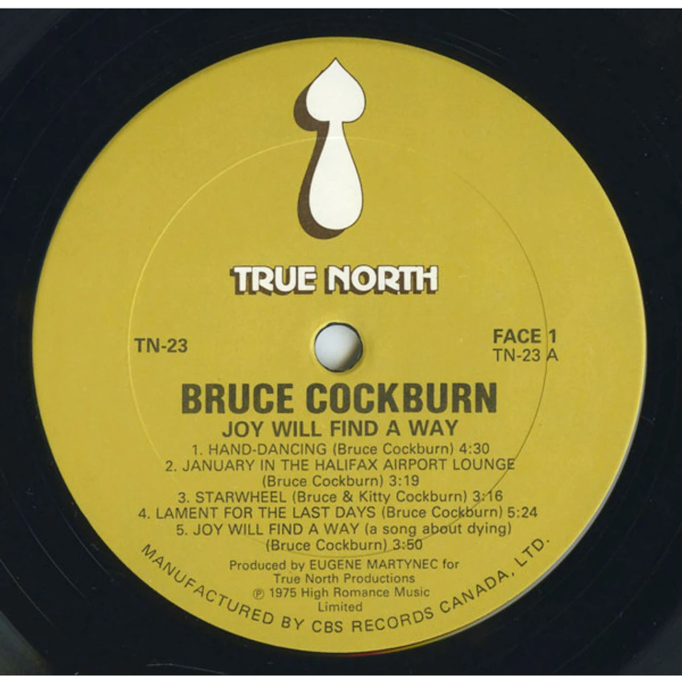 Bruce Cockburn - Joy Will Find A Way