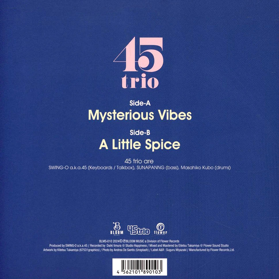 45trio - Mysterious Vibes / A Little Spice