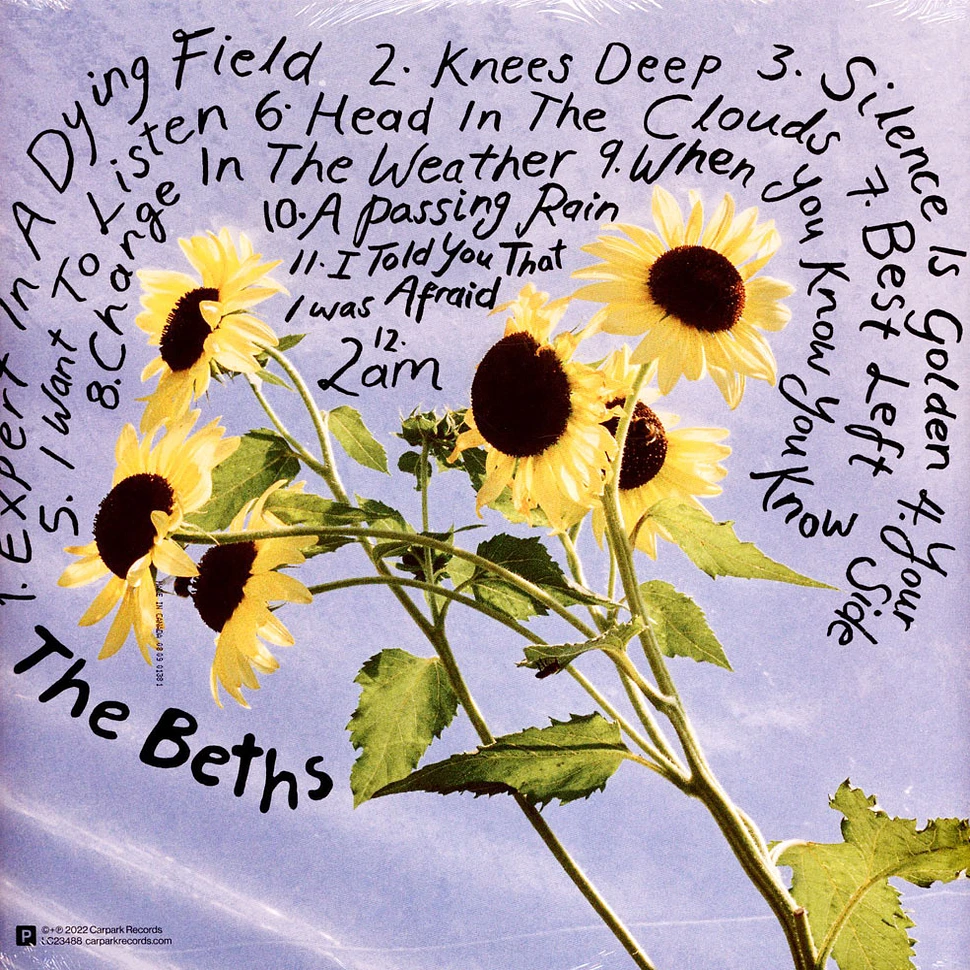 The Beths - Expert In A Dying Field Evergreen Vinyl Edition