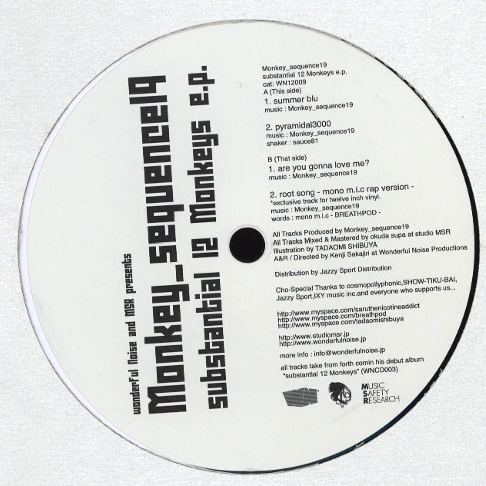Monkey Sequence 19 - Substantial 12 Monkeys EP