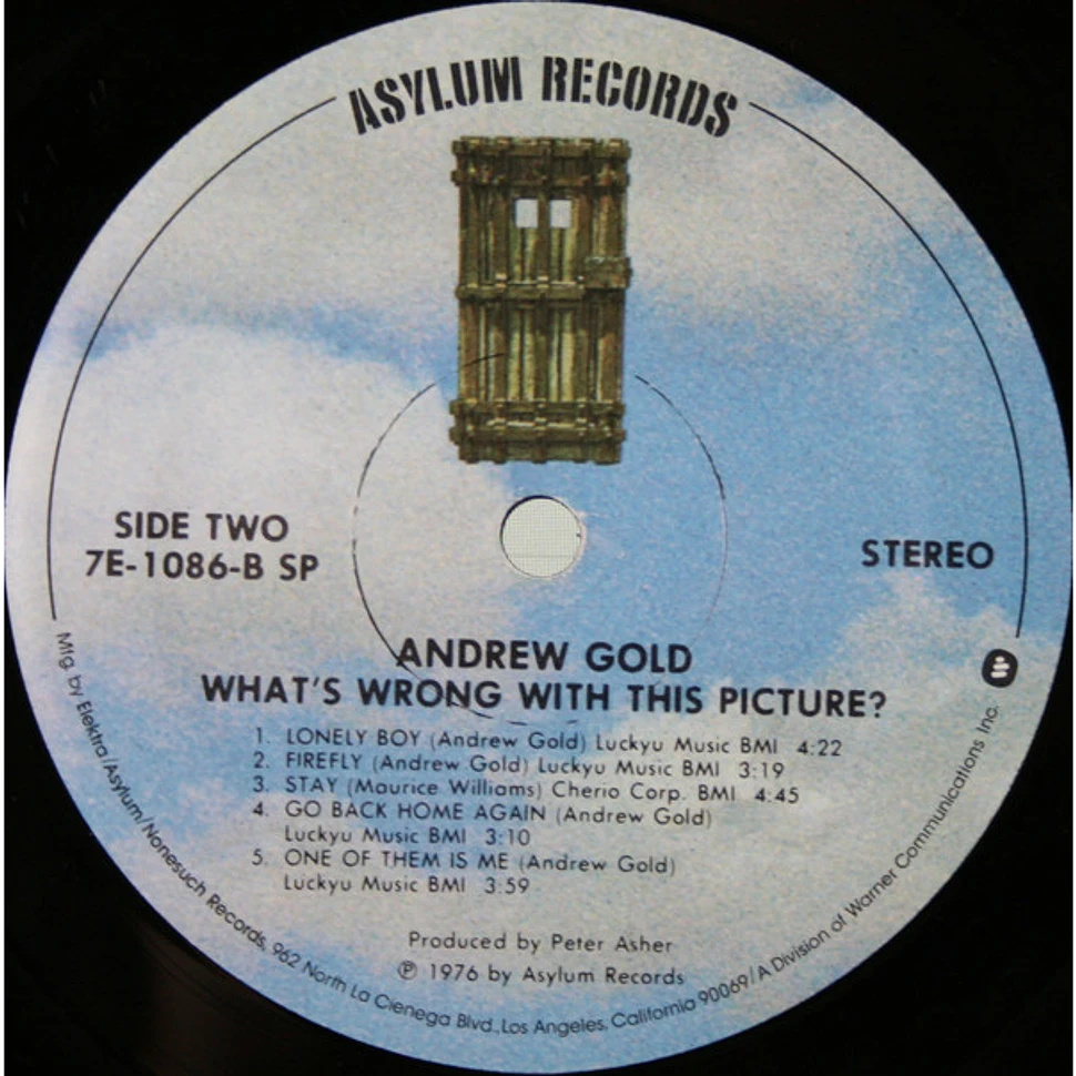 Andrew Gold - What's Wrong With This Picture?