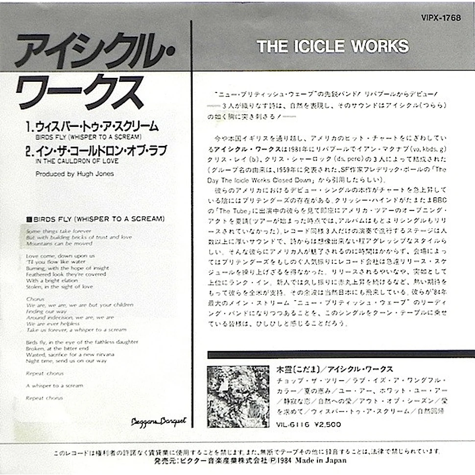 The Icicle Works - Birds Fly (Whisper To A Scream) / In The Cauldron Of Love
