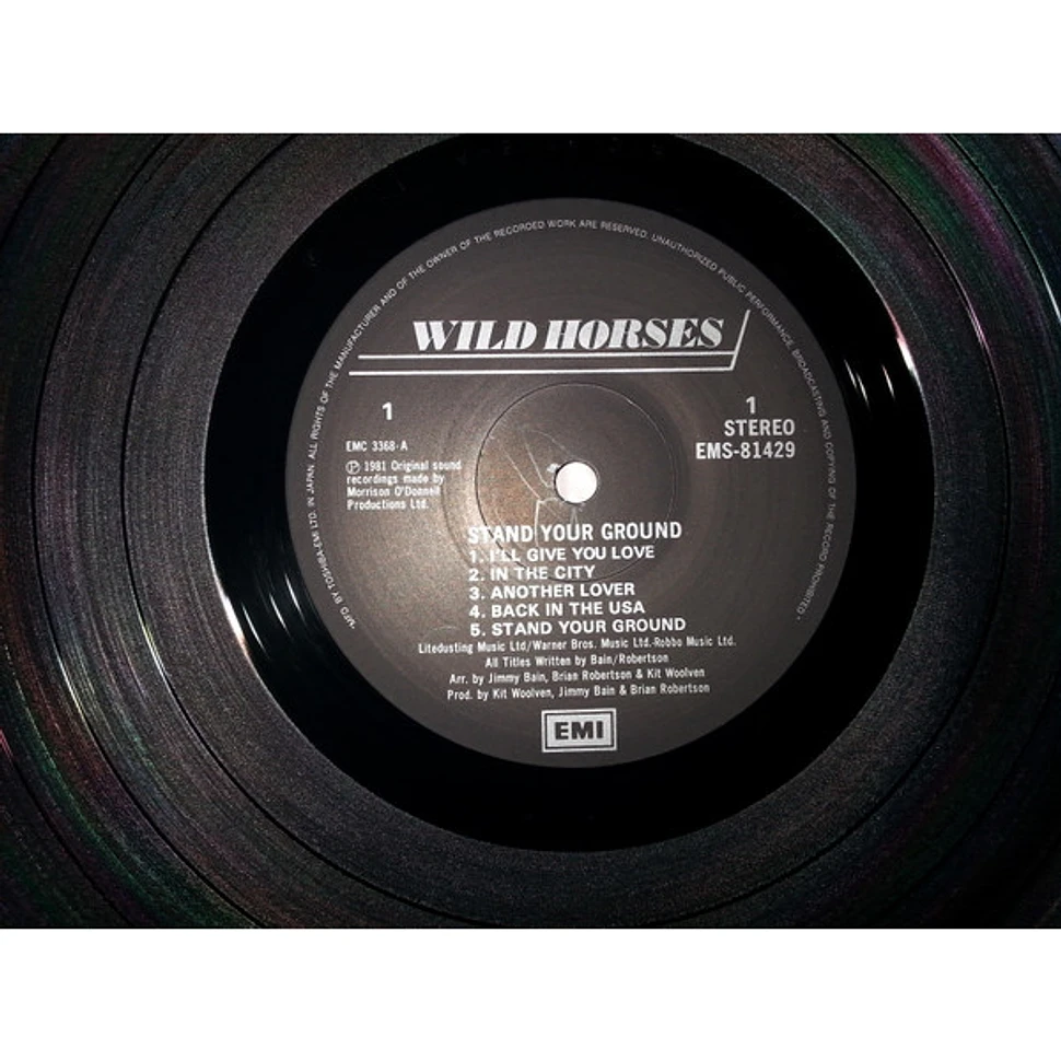 Wild Horses - Stand Your Ground