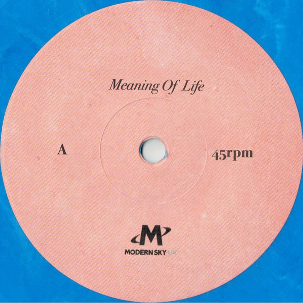 The Lottery Winners - Meaning Of Life