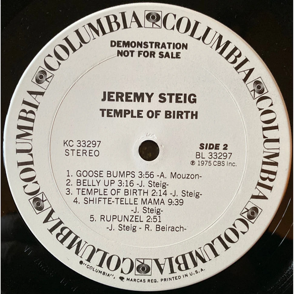 Jeremy Steig - Temple Of Birth