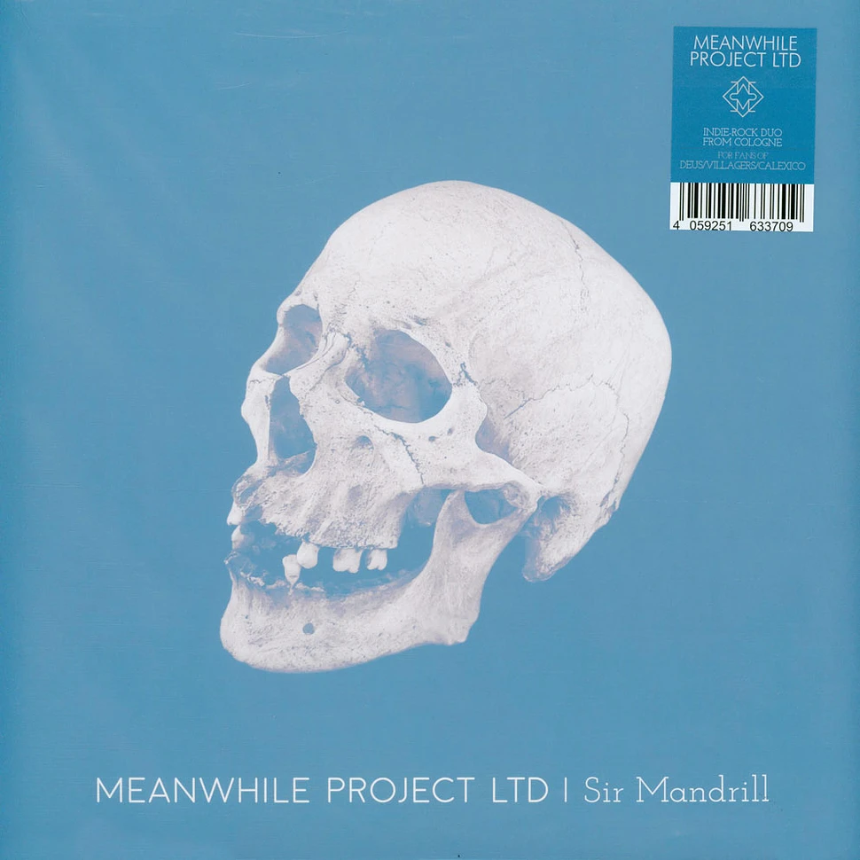 Meanwhile Project Ltd - Sir Mandrill