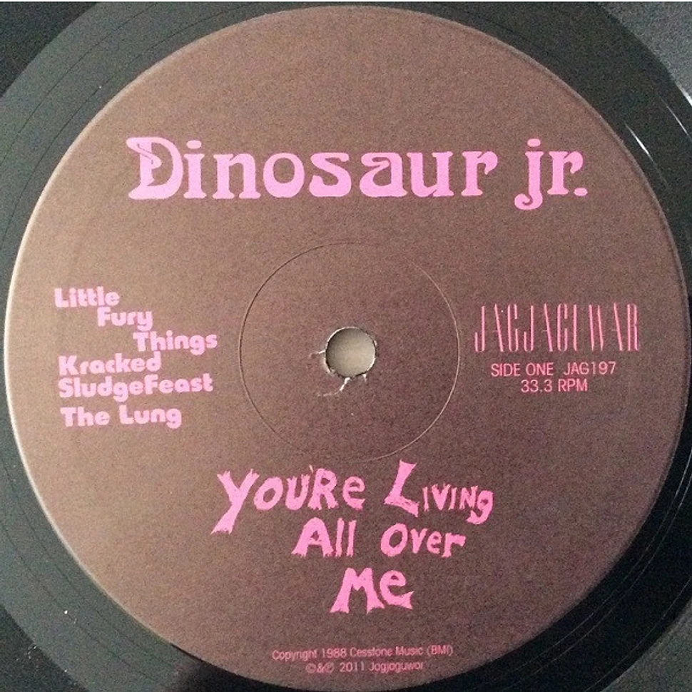 Dinosaur Jr - You're Living All Over Me