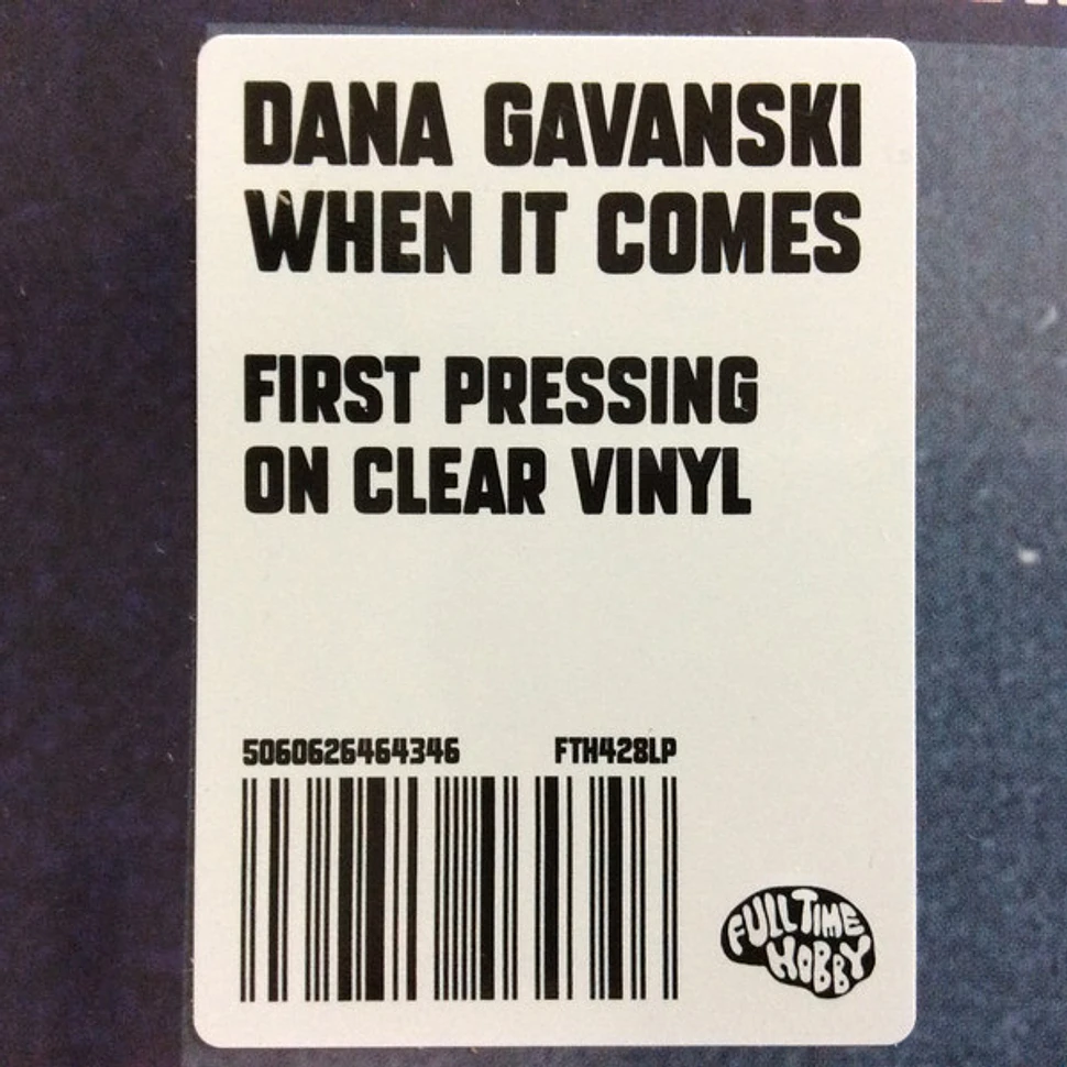 Dana Gavanski - When It Comes