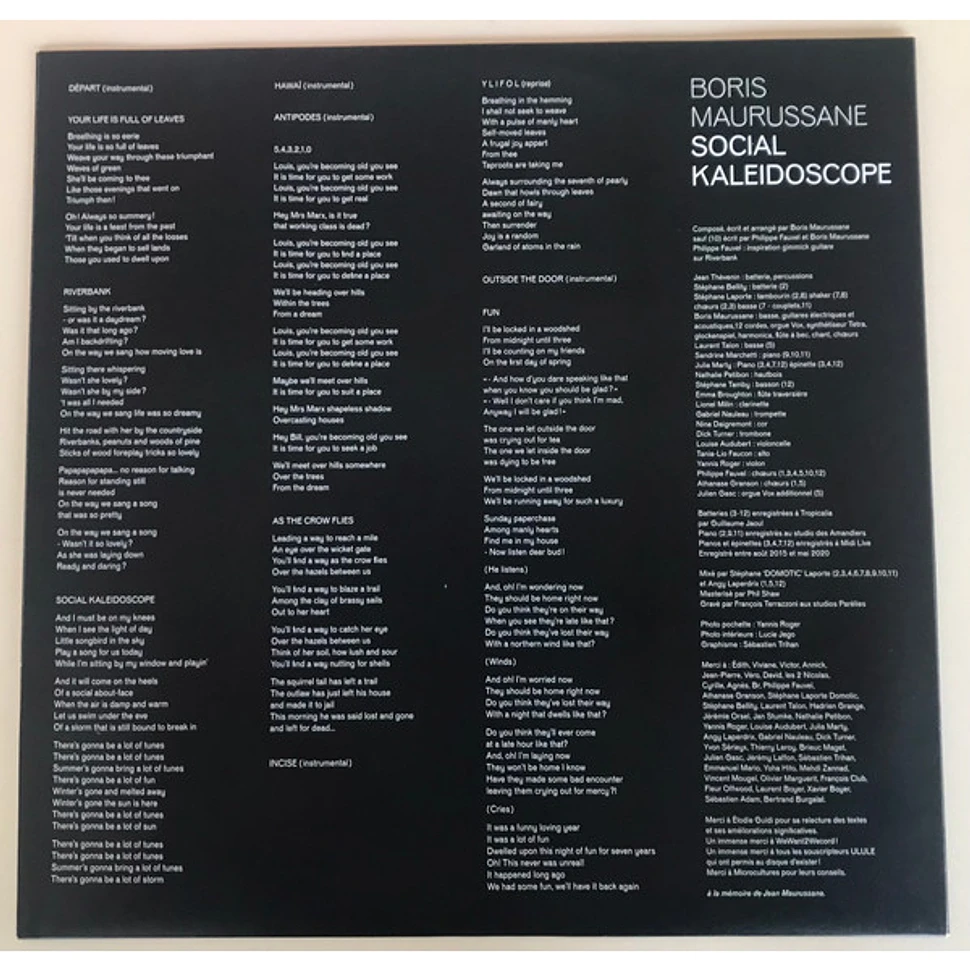 Boris Maurussane - Social Kaleidoscope