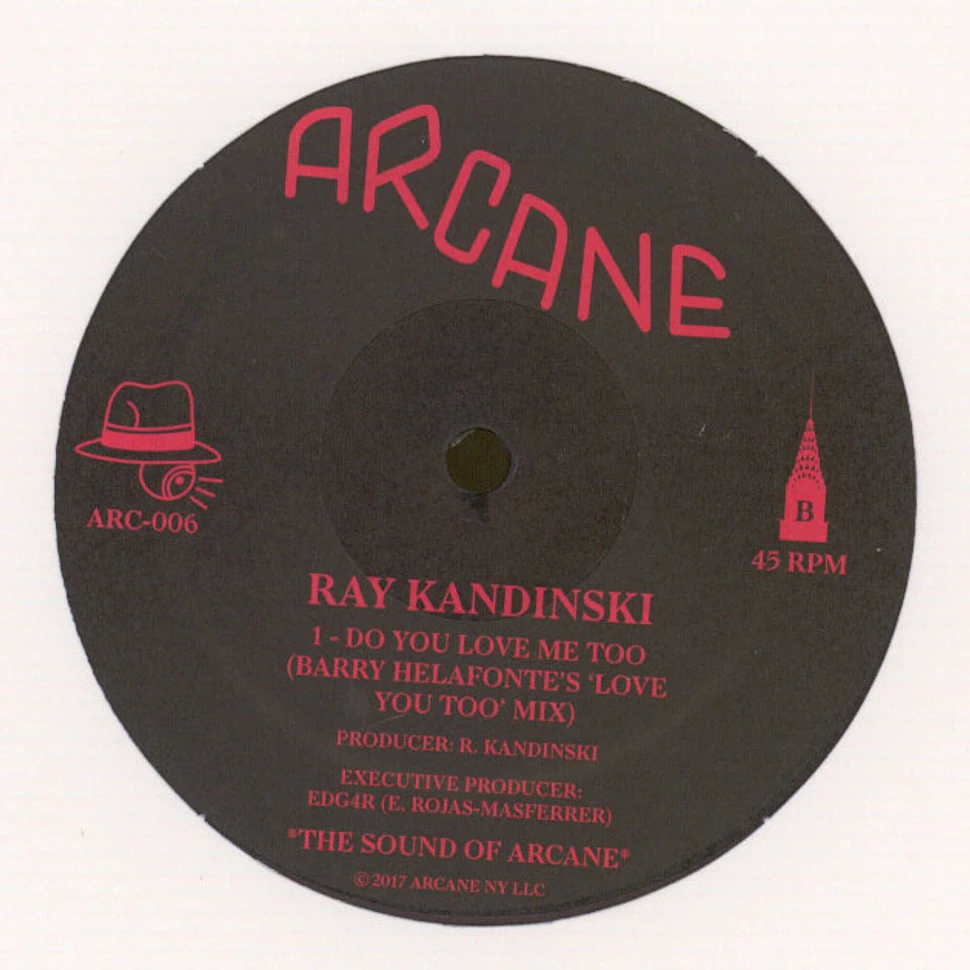 Ray Kandinski - Faking Love