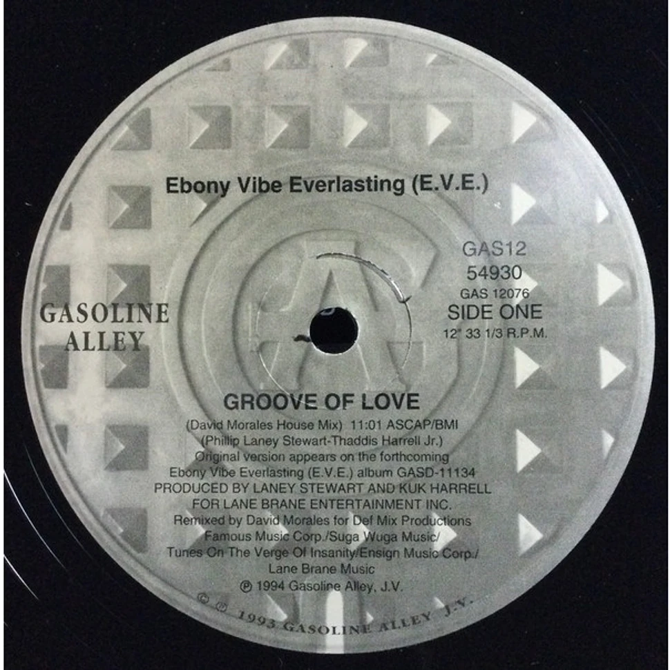 Ebony Vibe Everlasting - Groove Of Love