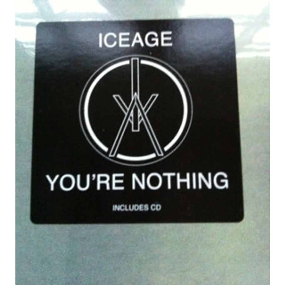 Iceage - You're Nothing