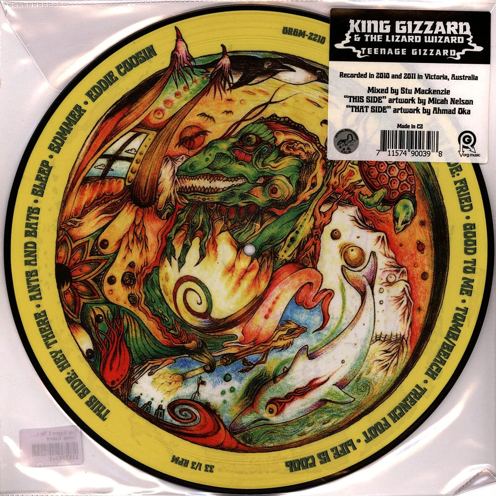 King Gizzard & The Lizard Wizard - Teenage Gizzard