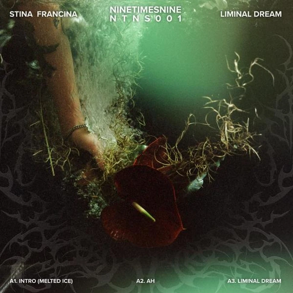 Stina Francina - Liminal Dream