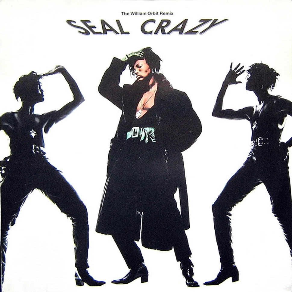 Seal - Crazy (The William Orbit Remix)