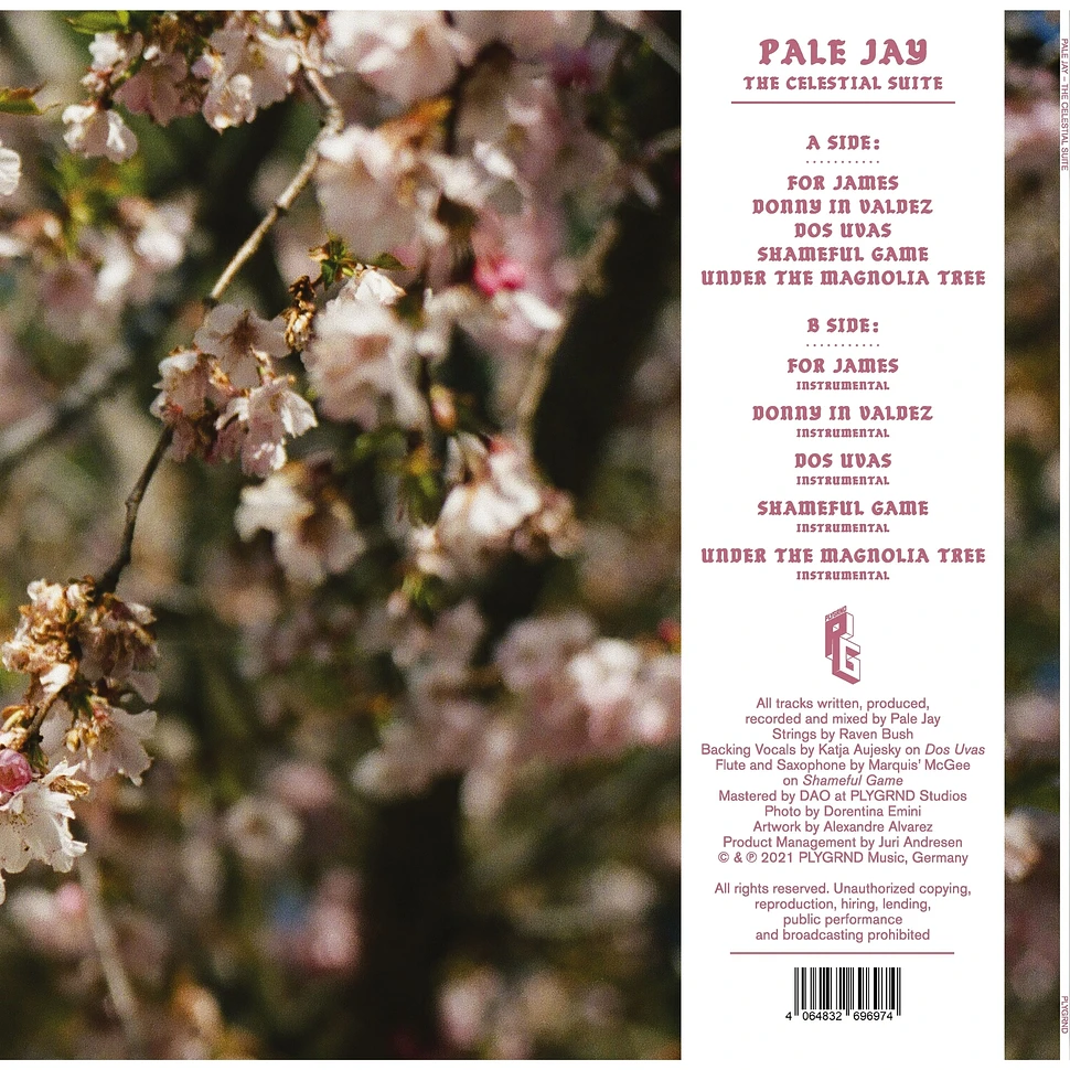 Pale Jay - The Celestial Suite