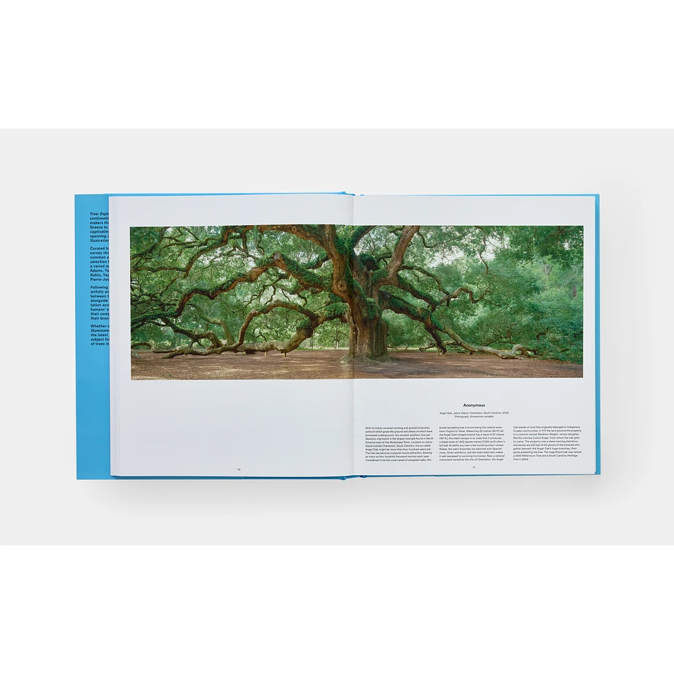 Phaidon Editors - Tree: Exploring The Arboreal World