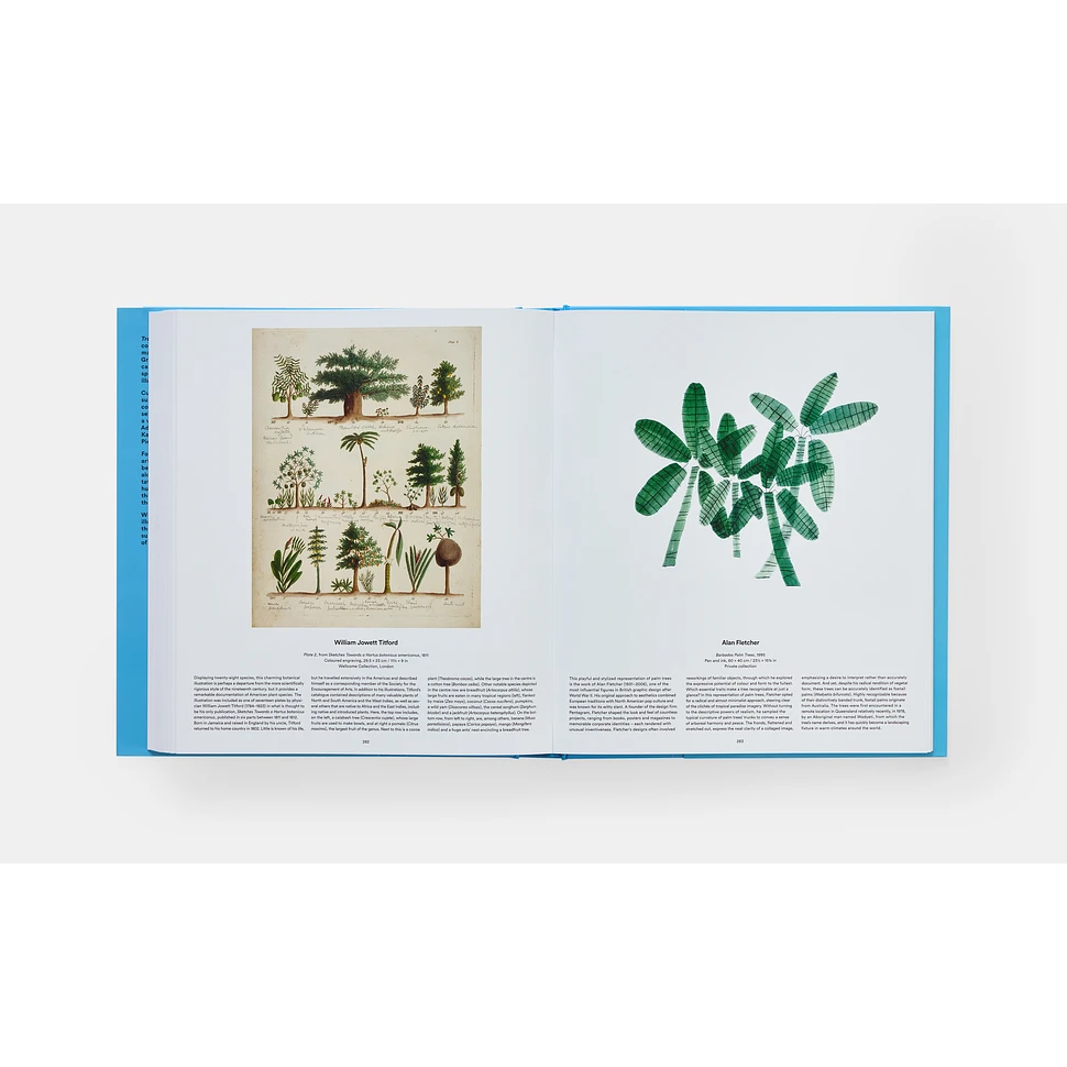 Phaidon Editors - Tree: Exploring The Arboreal World