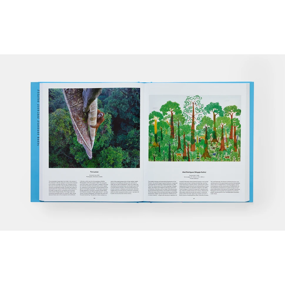 Phaidon Editors - Tree: Exploring The Arboreal World