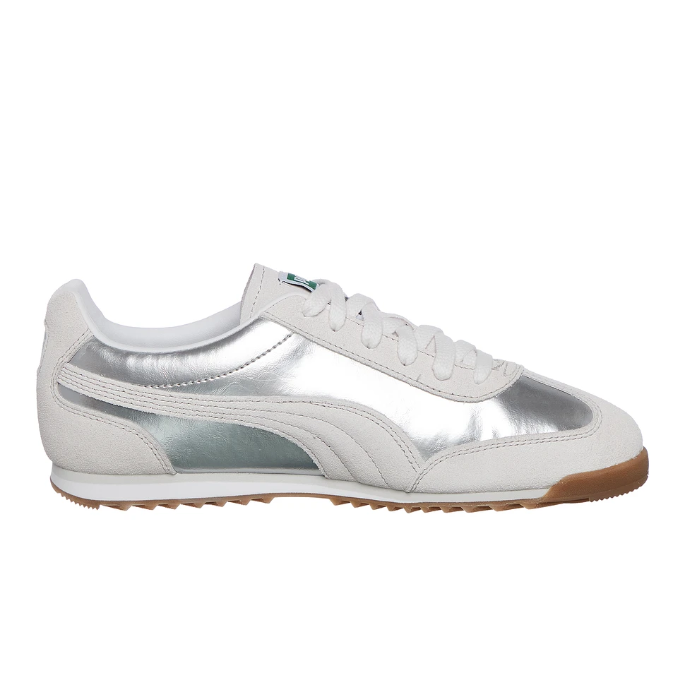 Puma - Arizona Astro Escape