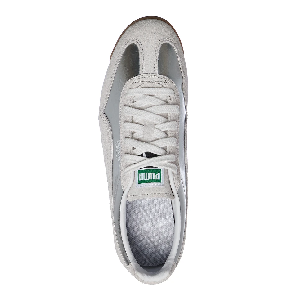 Puma - Arizona Astro Escape
