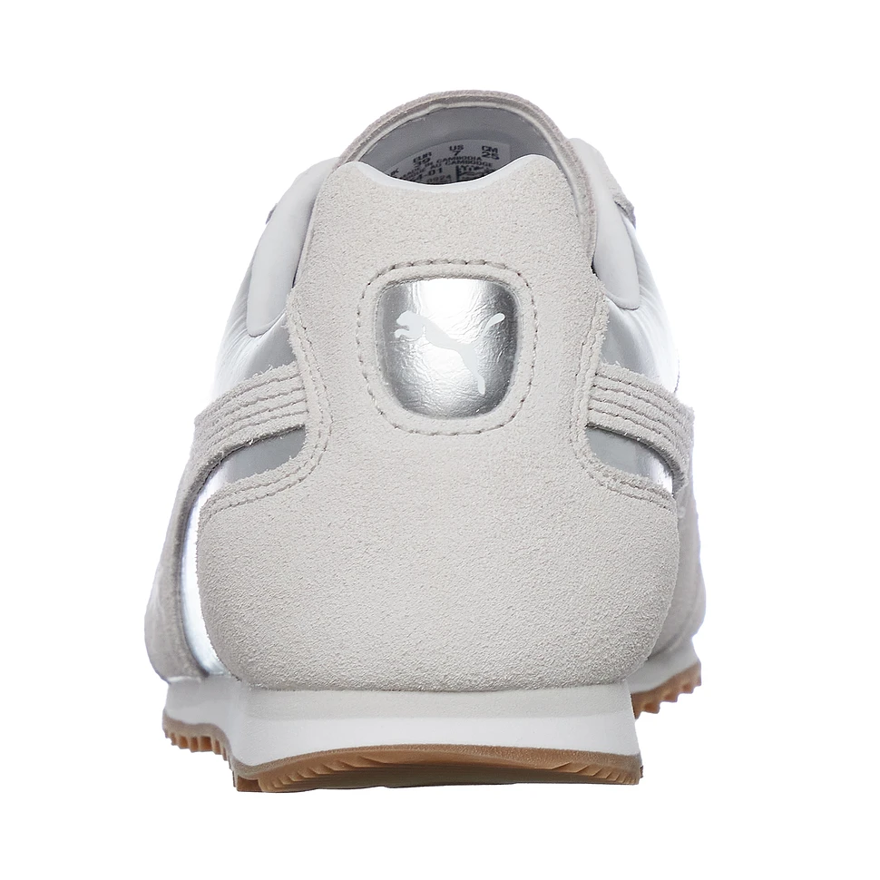 Puma - Arizona Astro Escape