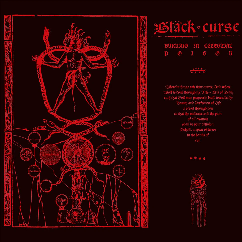 Black Curse - Burning In Celestial Poison Black Vinyl