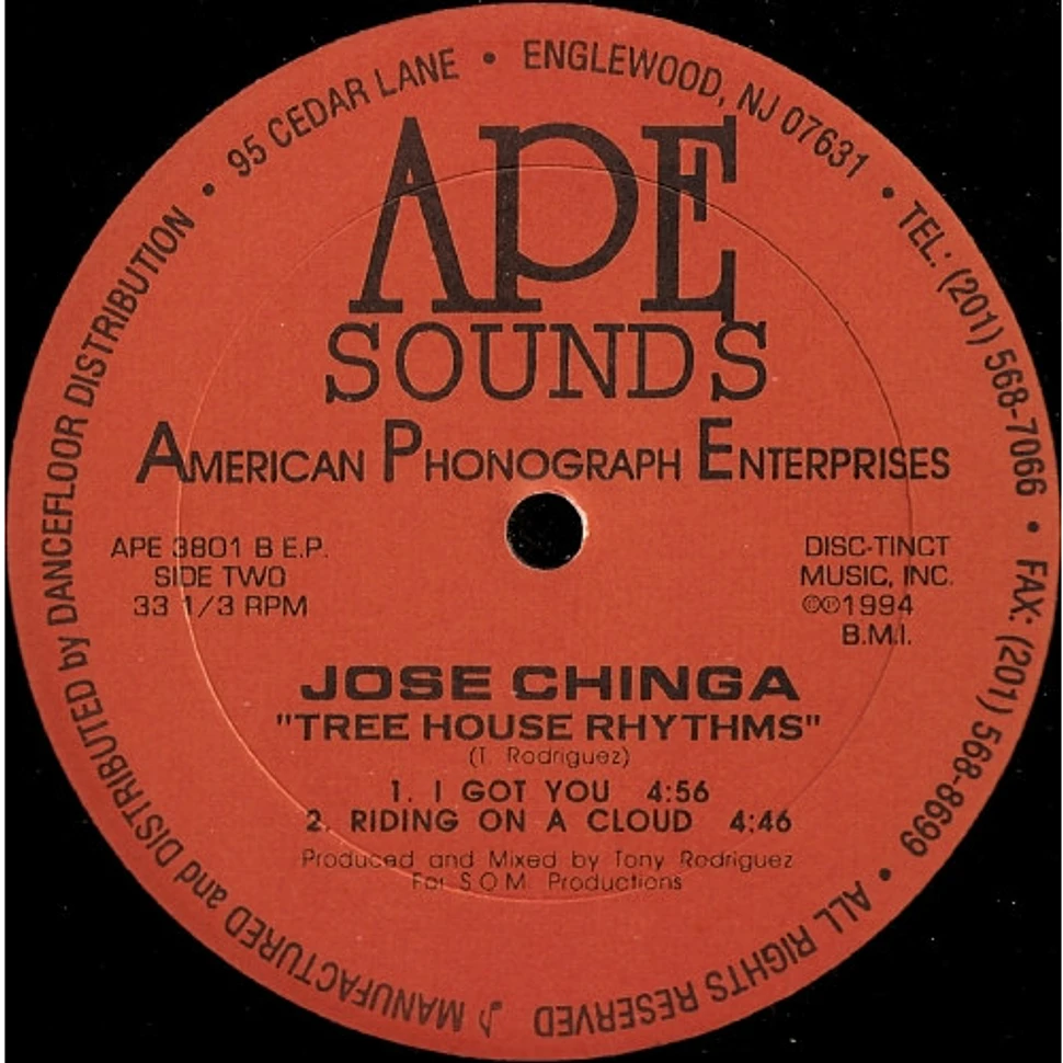 Jose Chinga - Tree House Rhythms