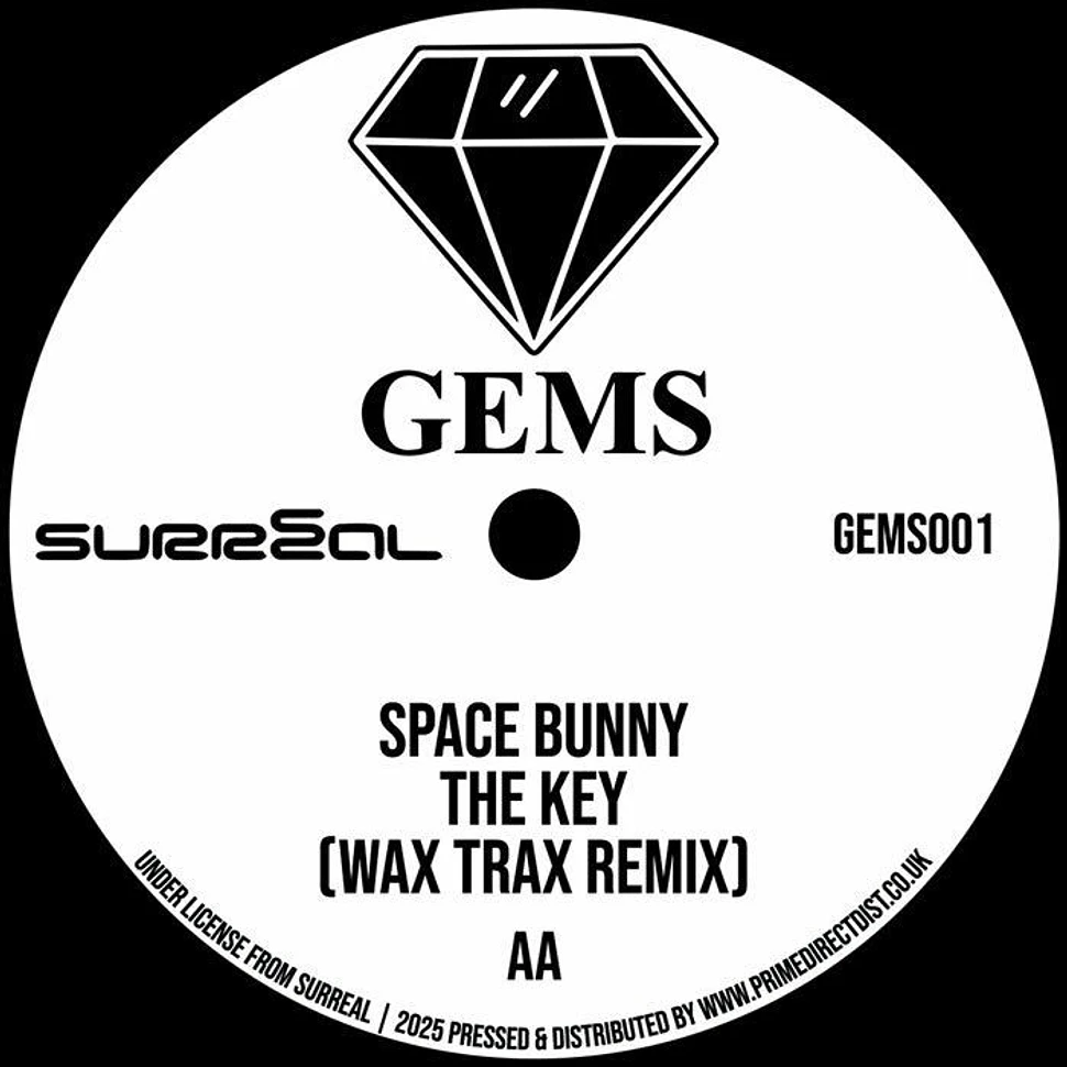 Radical Chic / Space Bunny - In Da Shadows (Terry Francis Remix) / The Key (Wax Trax Remix)