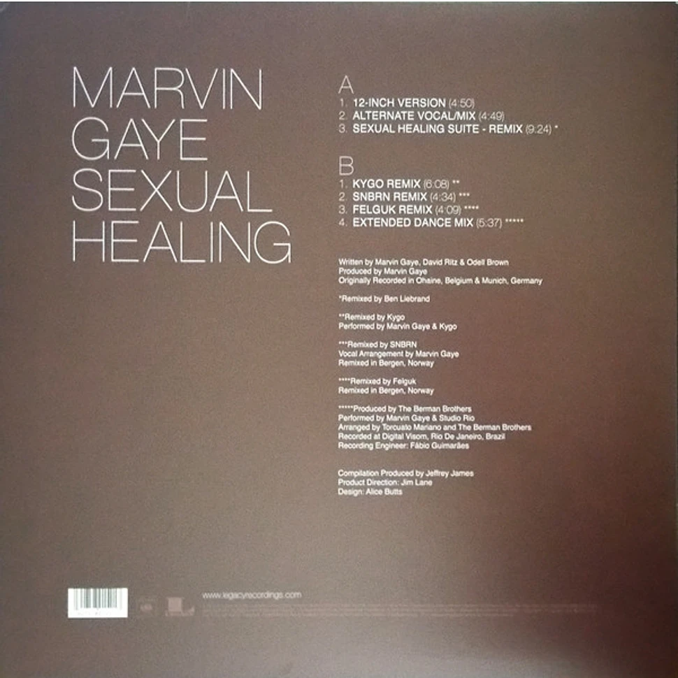 Marvin Gaye - Sexual Healing - The Remixes