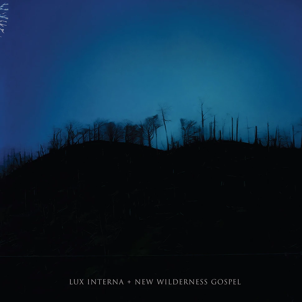 Lux Interna - New Wilderness Gospel