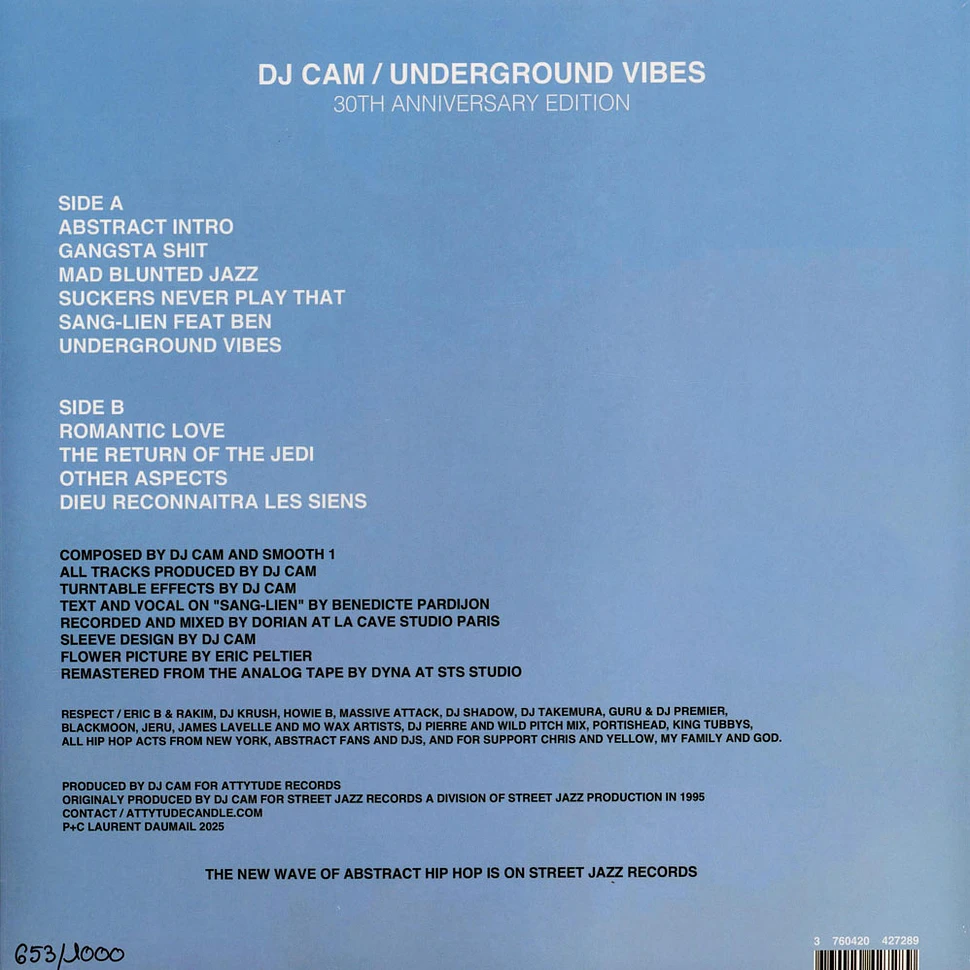 DJ Cam - Underground Vibes 30th Anniversary Edition - Vinyl LP