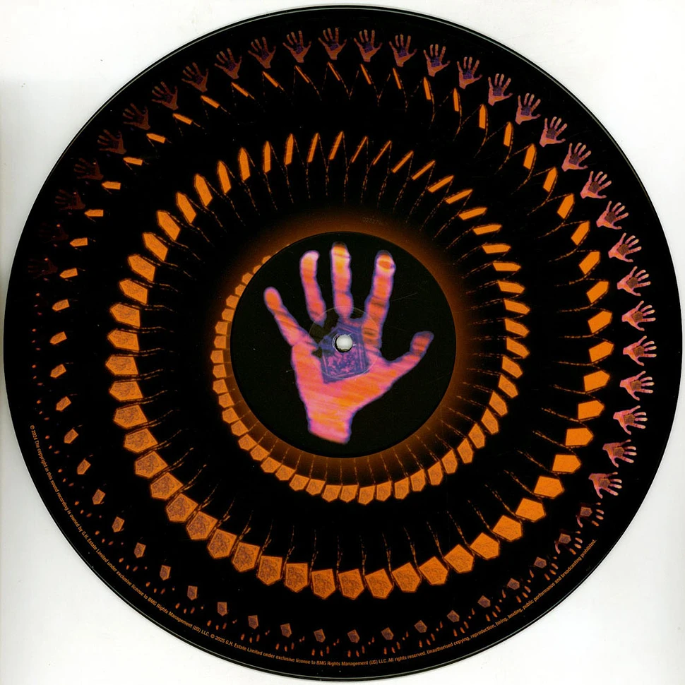 George Harrison - Living In The Material World Black Friday Record