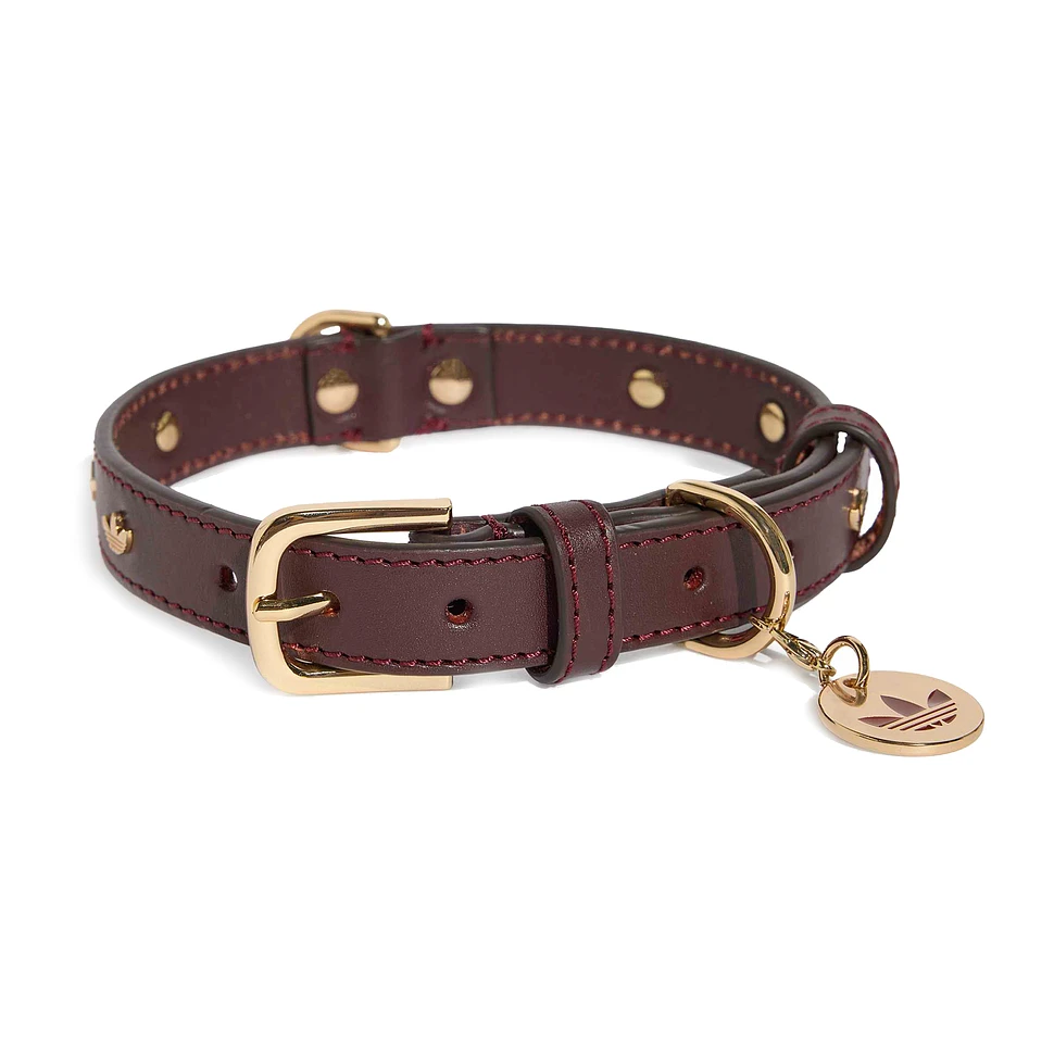 Pet Collar