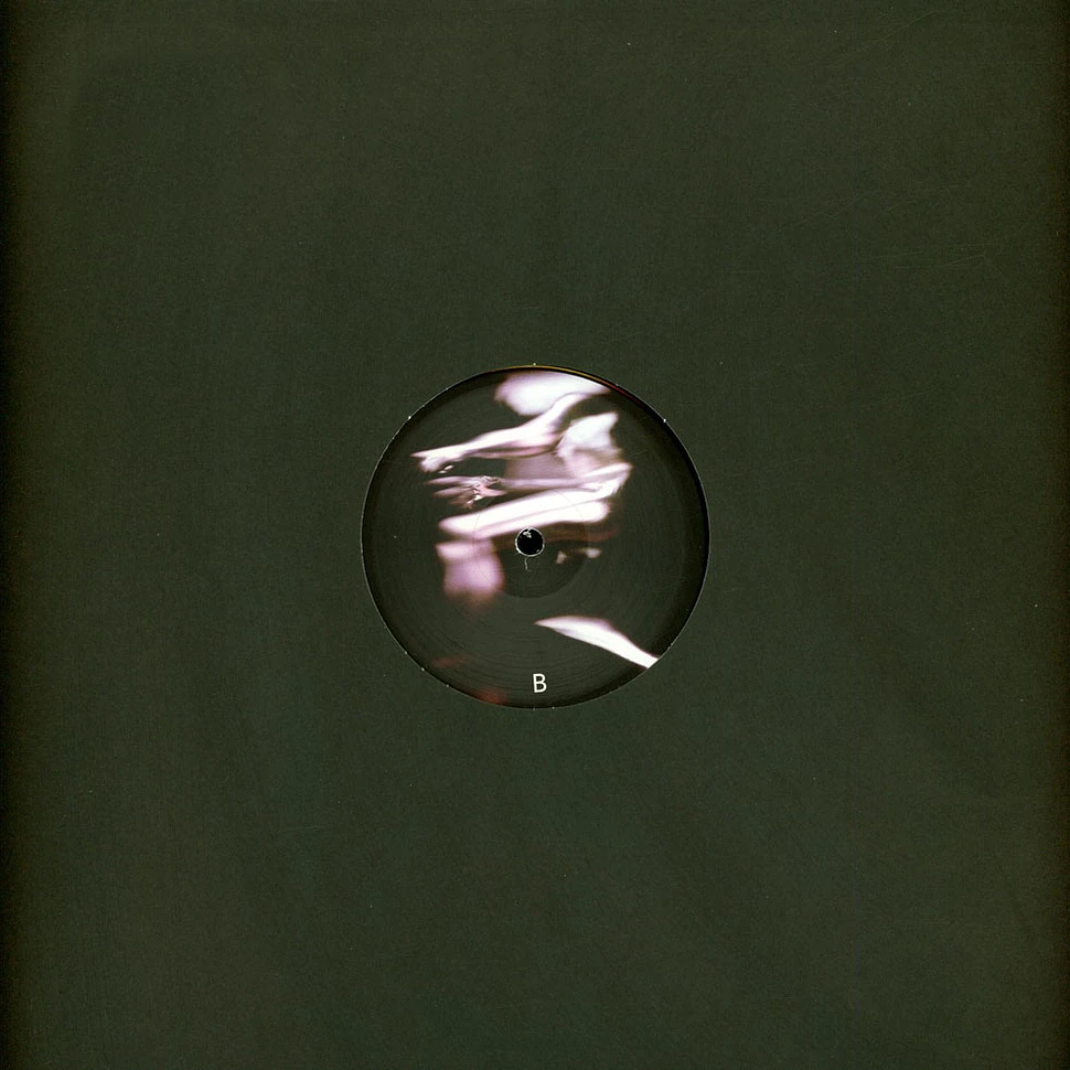 Polygonia - Ceaseless Motion