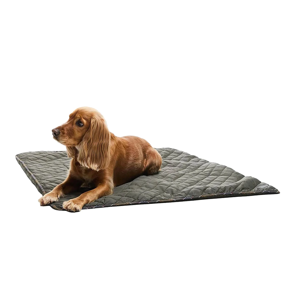 Dog Quilt & Fleece Blanket