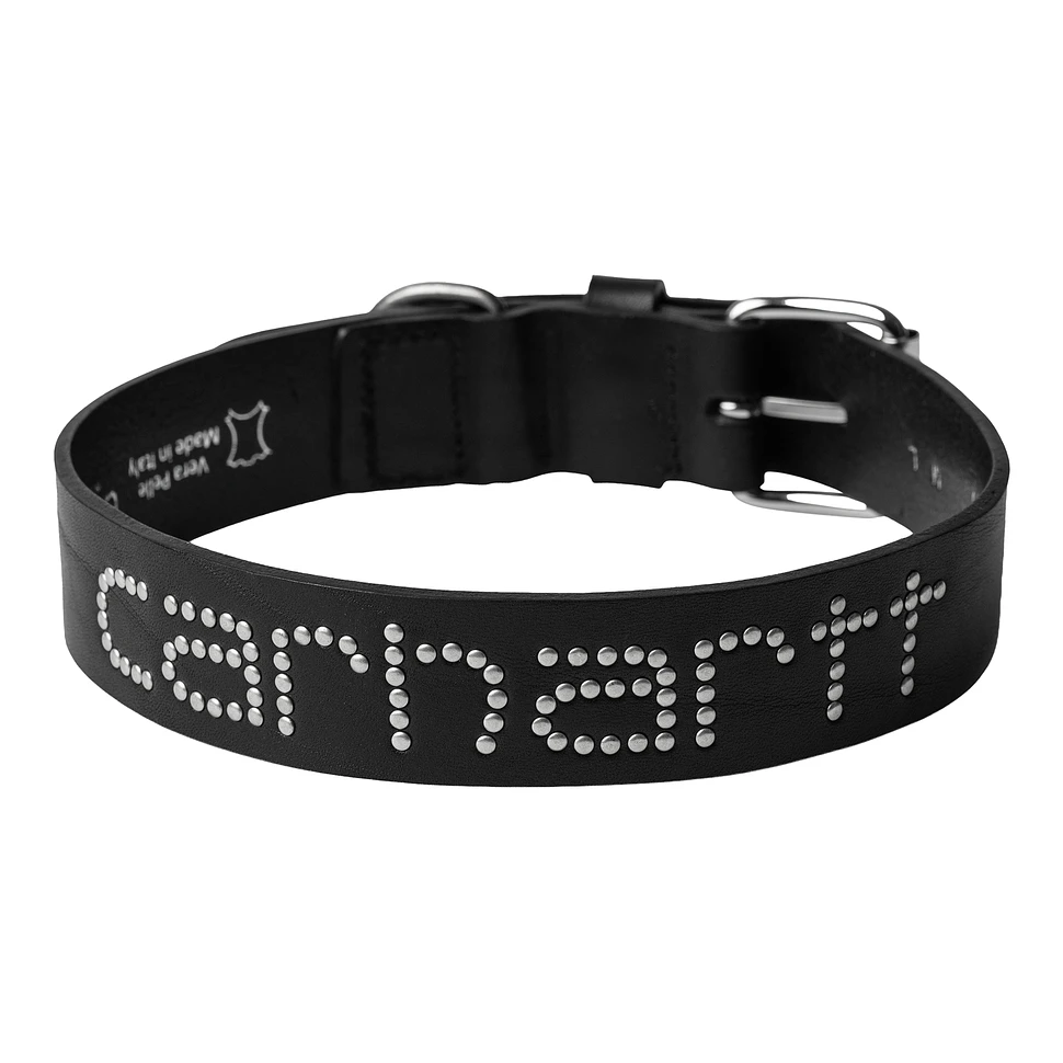 Script Studs Dog Collar